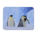 Recherche de empereur magnets Glace