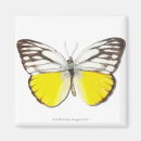 Recherche de assez magnets Girly