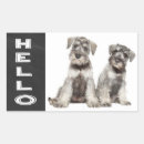 Recherche de chien de schnauzer autocollants Chiot