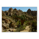 Recherche de palm desert vœux cartes Paysage
