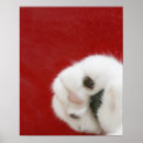 Recherche de gros chat posters Partie de