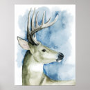 Recherche de mâles posters Cerfs communs