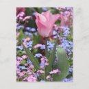 Recherche de jardin luxembourg cartes postales Europe