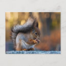 Recherche de biscuits cartes postales Mignonne