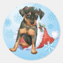 Recherche de pinscher miniature autocollants Noël