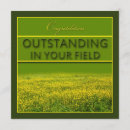 Recherche de renoncule cartes postales Champ