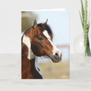 Recherche de étalon vœux cartes Cheval de peinture