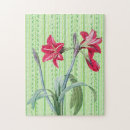 Recherche de amaryllis puzzles Rose