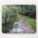 Recherche de tzu shih tapis souris Shihtzu
