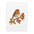 Recherche de rouge gorge magnets Contenu génératif