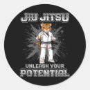Recherche de jiu jitsu brésilien autocollants Vibrations automnales