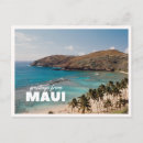 Zoek naar maui briefkaarten Palmboom