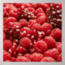 Recherche de nourriture posters Nutriments