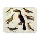 Recherche de indigène magnets Ensuite