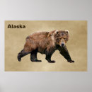 Recherche de kodiak posters Brun