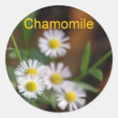 Recherche de camomille autocollants Thé