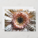 Recherche de fleurs marguerite gerbera invitations Marguerie