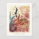 Recherche de great barrier reef cartes postales Grande barrière