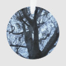 Recherche de silhouette ornements Arbres