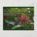 Recherche de attitude cartes postales Gratitude
