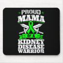 Recherche de maladie tapis souris Rein