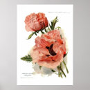 Recherche de papaver posters Floral