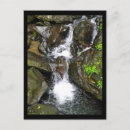 Recherche de forêt tropicale cartes postales Porto rico