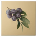 Recherche de botanical carreaux Cru