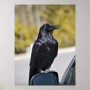 Recherche de corbeaux art Noir