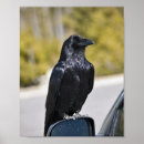 Recherche de corbeaux art Corneille