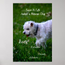 Recherche de animaux secourus posters Pour tous
