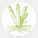 Zoek naar asperge stickers Groen