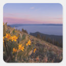 Recherche de auriculaire Paysage