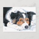 Recherche de chien border collie cartes postales Canin