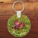 Recherche de chipmunk porteclés Mignon