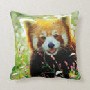Recherche de pandas coussins Doux