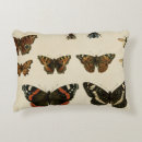 Recherche de insectes coussins Animaux
