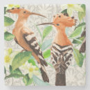Recherche de oiseau exotique dessous de verres Jungle