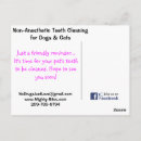 Recherche de dents cartes postales Animaux domestiques