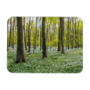 Recherche de arbre vie magnets Paysage