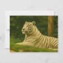 Recherche de tigre blanc cartes postales Gros chat