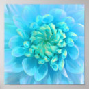Recherche de fleurs turquoise posters Bleu