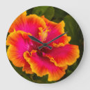 Recherche de fuchsia horloges Botanique