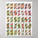Zoek naar wilde vogel posters Natuur