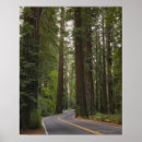 Zoek naar wegen posters Landschap