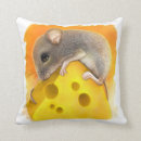 Zoek naar kas kussens Schilderij