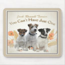 Recherche de cric russell tapis souris Terrier