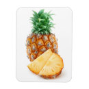 Zoek naar ananas magneten Vrucht