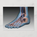 Recherche de foot cartes postales Feet