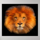 Recherche de yeux de lion posters Lions